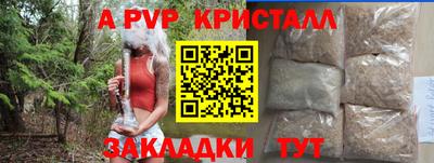 PSILOCYBIN Ярославль