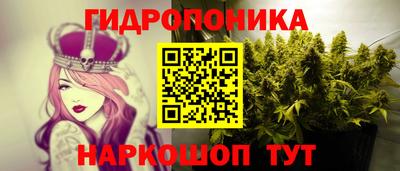 PSILOCYBIN Ярославль