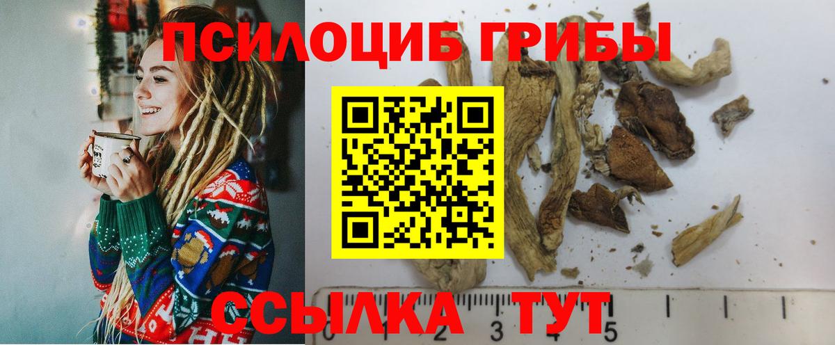 Псилоцибиновые грибы мухоморы  Вход с VPN  Сухой Лог 